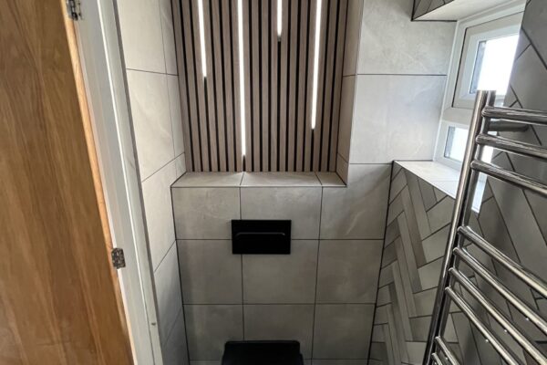Cloakroom toilet with LED Lights