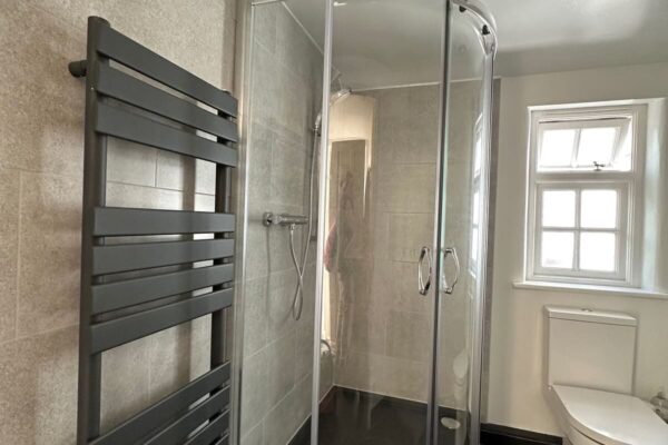 a shower, toilet and heated towel rail
